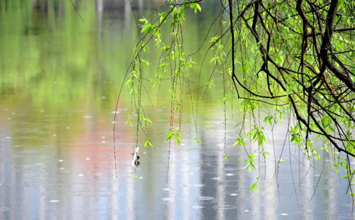 雨中的守护者 —— 平川珍珠棉的应用实践 雨中的守护者 —— 平川珍珠棉的应用实践